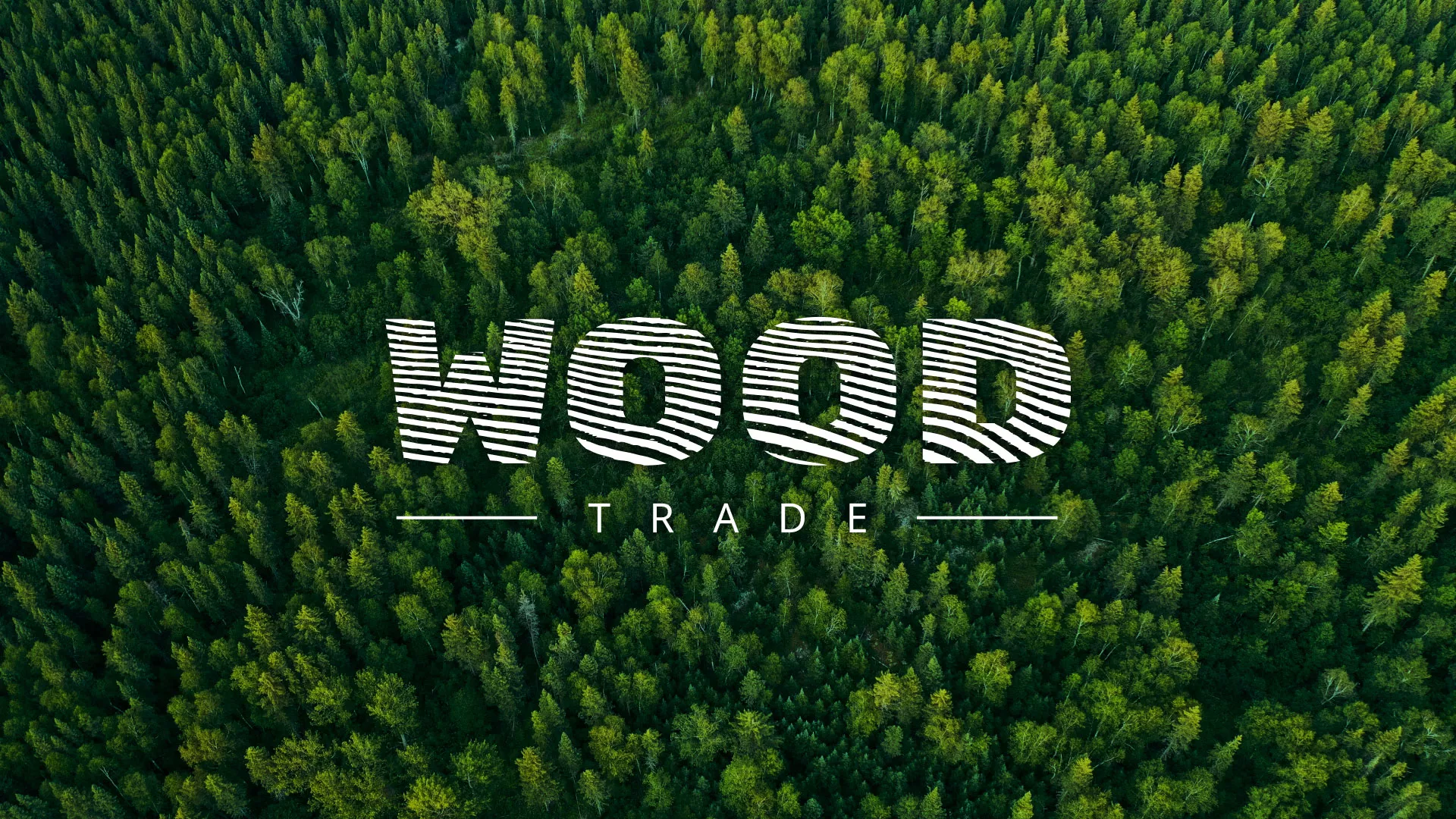 Разработка интернет-магазина компании «Wood Trade» в Лесосибирске